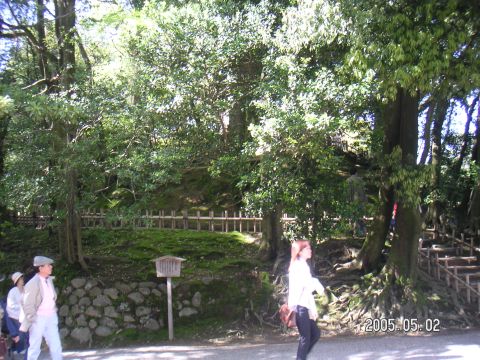 s_pict0163.jpg